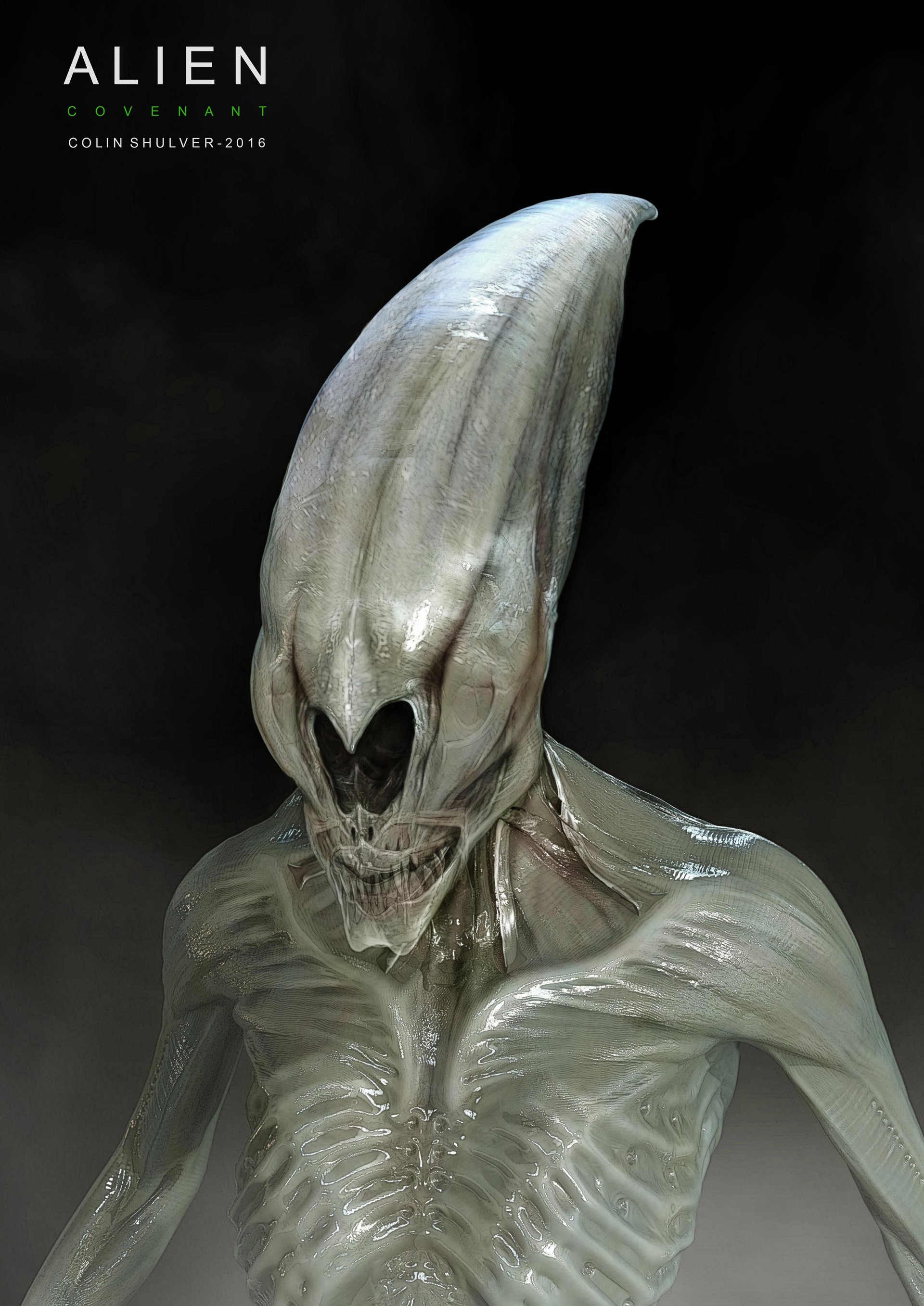 Neomorph concept by Colin Shulver