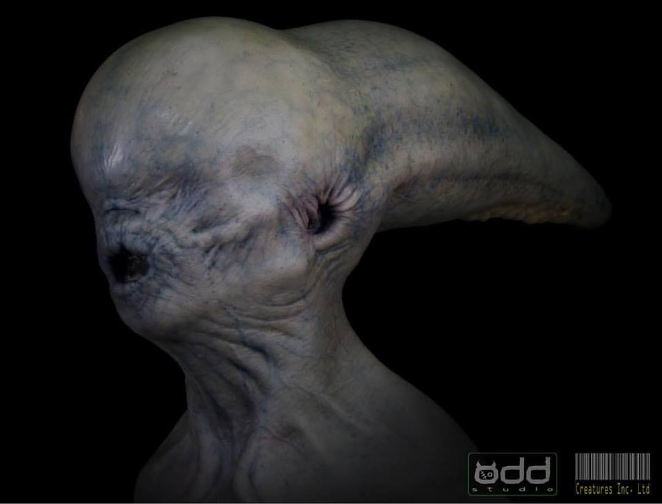 Neomorph proof of concept head