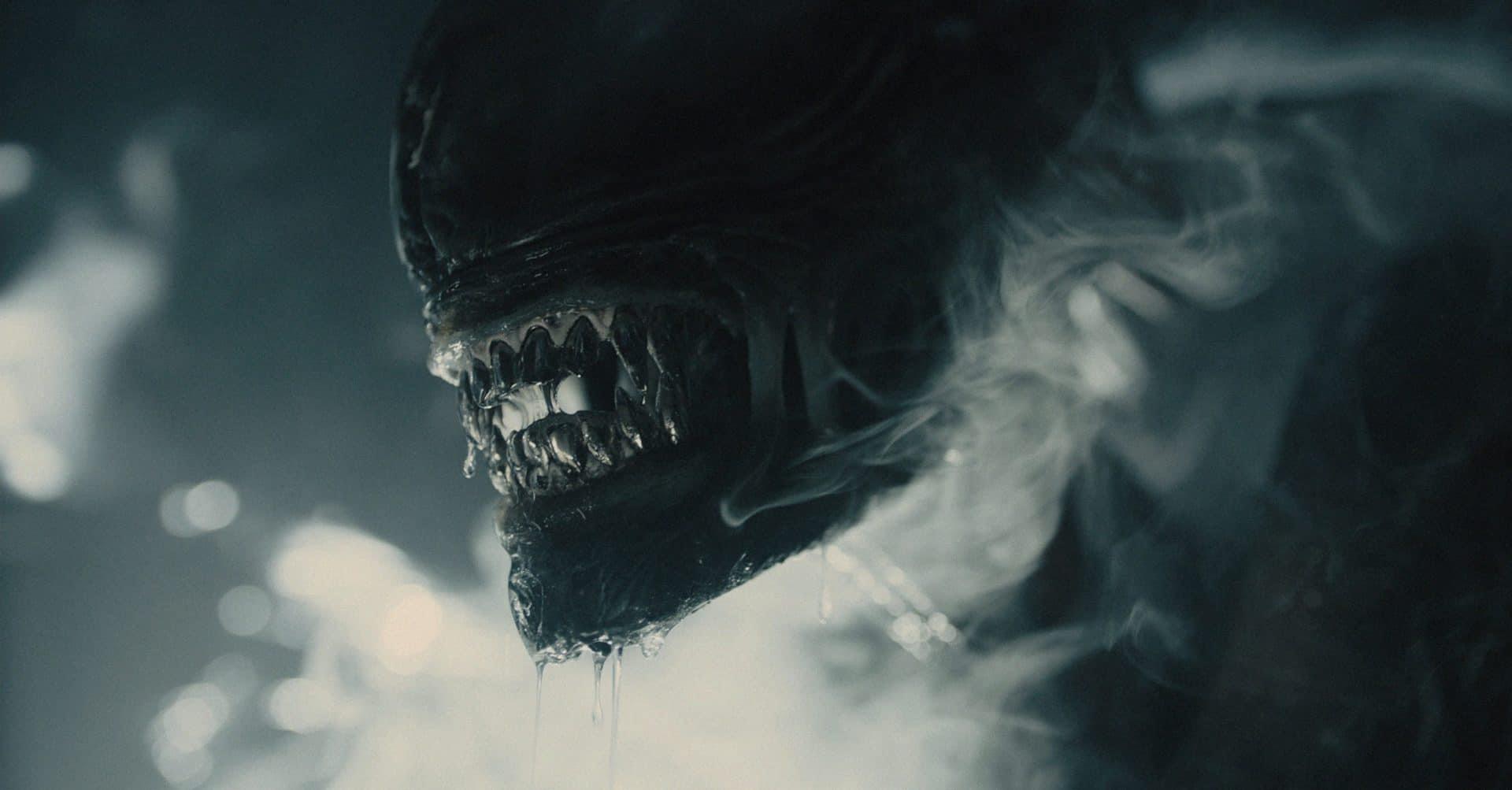 New Alien: Romulus Xenomorph Still