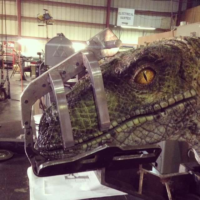 Possible first look at JW raptor