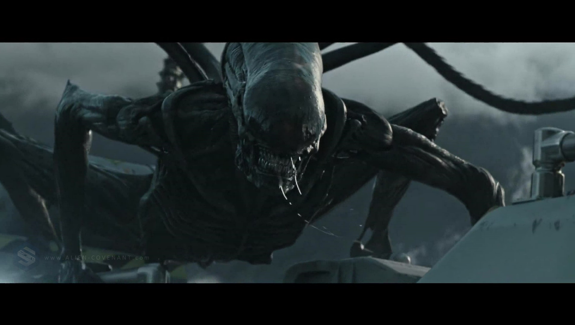 The Alien: Covenant Xenomorph / Protomorph