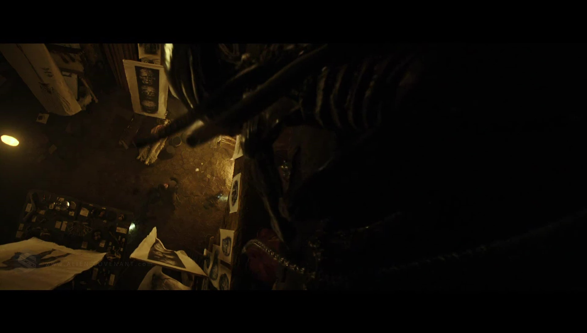 Xenomorph / Protomorph in David's workshop