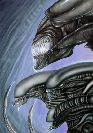 Xenomorph Hierarchy Fan Art