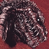 shin godzilla king Profile