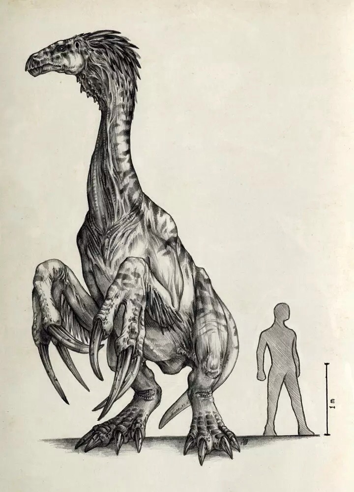 Troodon1 Profile