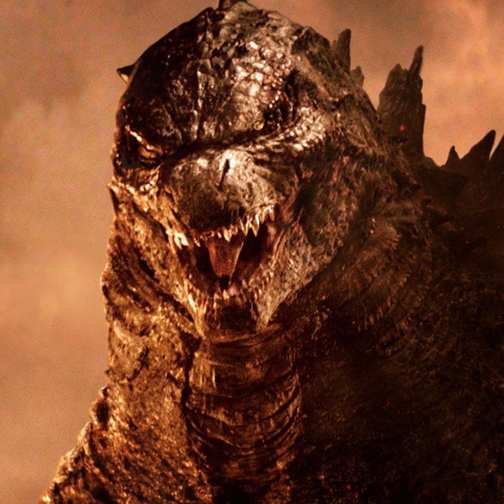 GodzillaRim Profile