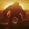 Kong Profile