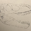 Suchosaurine Profile