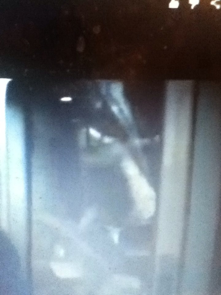 MUTO CREATURE SITED IN TRAILER!