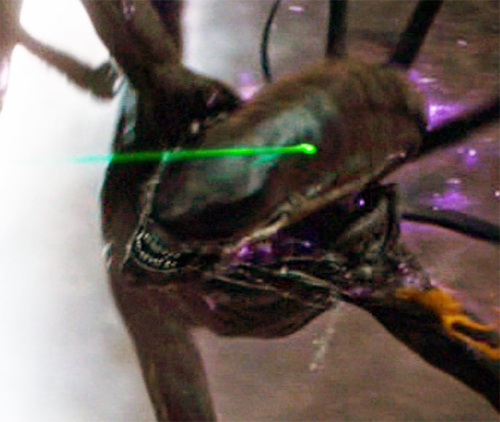 Daniels Shoots Xenomorph and Blood is Visible