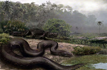 titanoboa vs deinosuchus