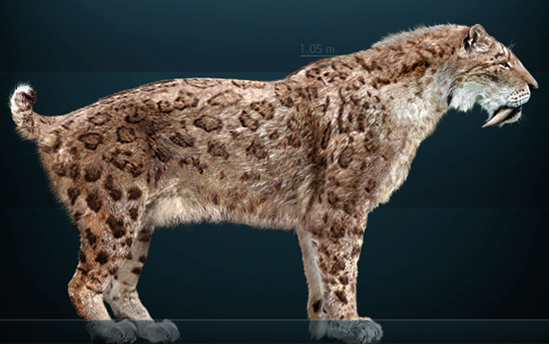 Who knew the Saber Toothed Cat was such a gentle nibbler?