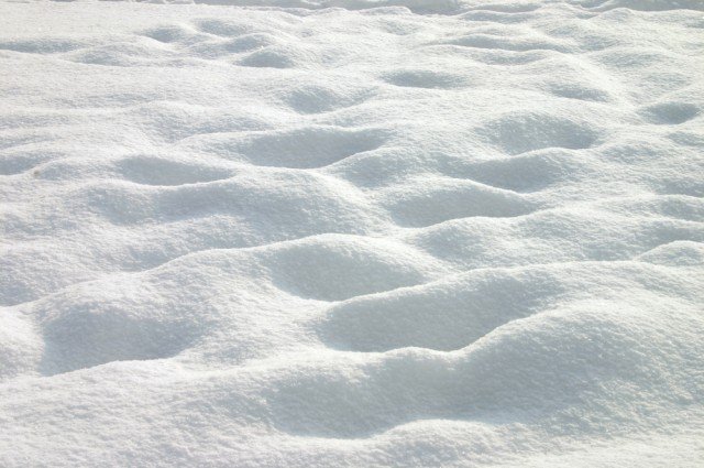 Tyrants Chapter 16: The Blizzard