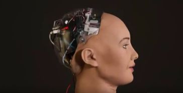 The first robot recognized as a citizen. Dawn of The Second Renaissance?