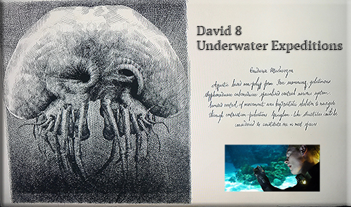 Underwater Expeditions on Paradise