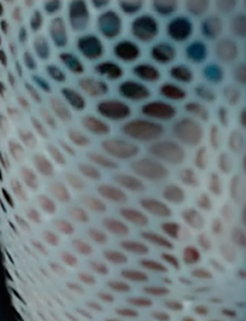 Are Yutani Corporation Geisha Model Descendants (now Weyland-Yutani Corporation) manufacturing Walter?