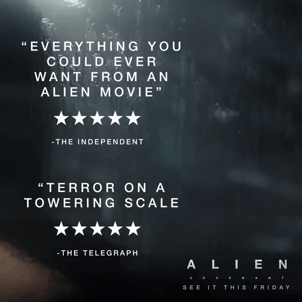 What the Critics Are Saying