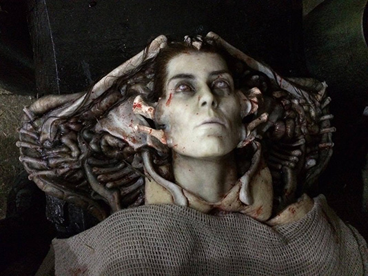 Dr Shaw's Visage as the Virgin Mary with Halo?