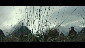 Botanists: Explain Wheat