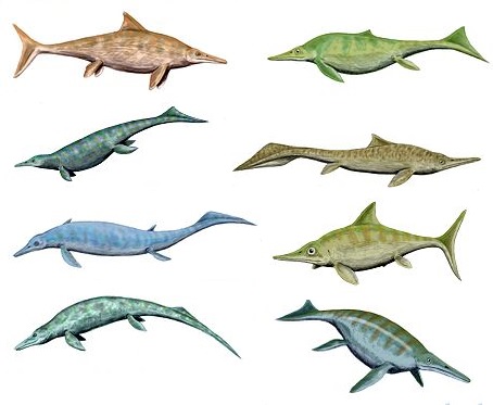 Megalodon vs Ichthyosaurs