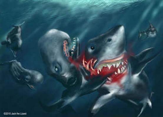 Megalodon Vs. Pliosaurus (EAB Part.1) - Dinosaurs Forum