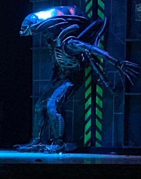 Disney look out, the kids want more Alien