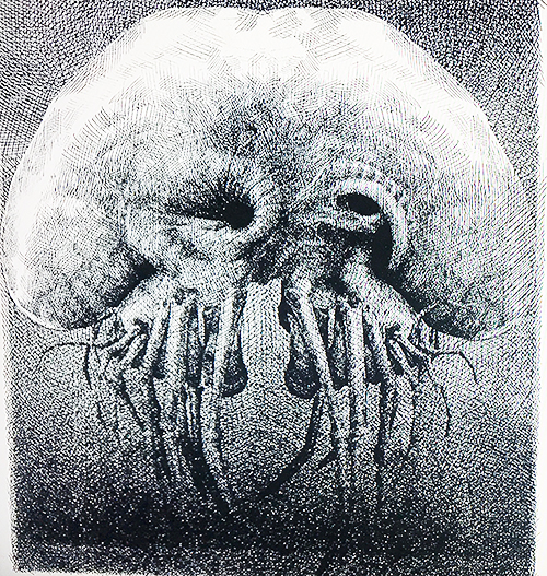 Tailoring an Organism