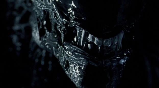 Aliens VS Predator 3 The Sequel To AVP Requiem We Never Saw 