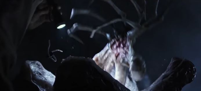 Dog Tags in a Facehugger?