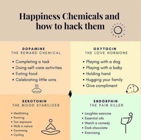 Happy Hormones