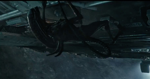 Large Xeno holding on the bottom of the shuttle craft at the temple
