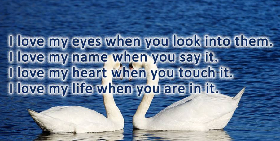 A Sad Love Poetry For Movies