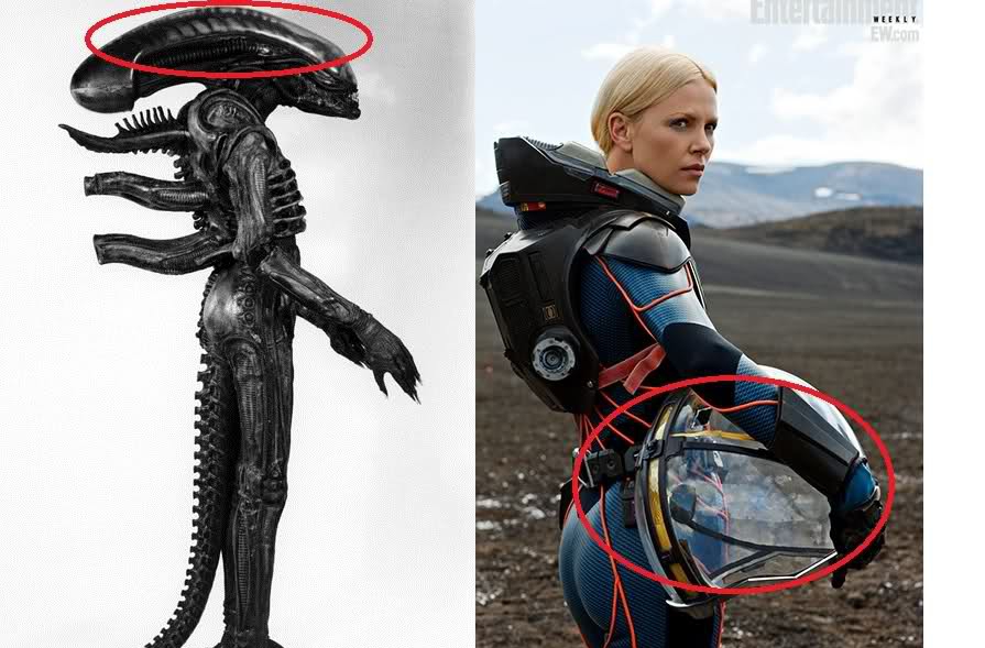 Theory about the Xenomorph