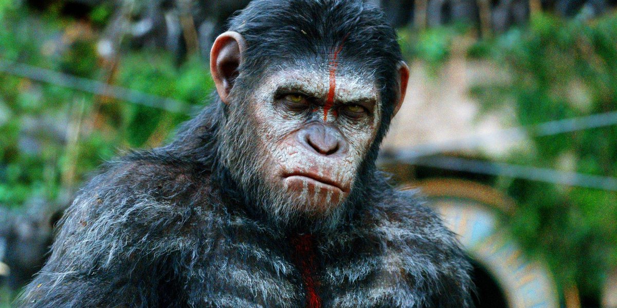 Image for Planet of the Apes is getting rebooted again!