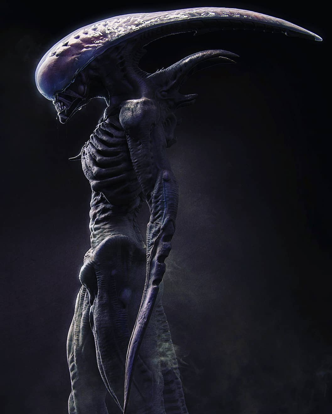 Fan Art Spotlight Alien Neomorph And Bull Xenomorph Concepts Alien Covenant Sequel Movie News