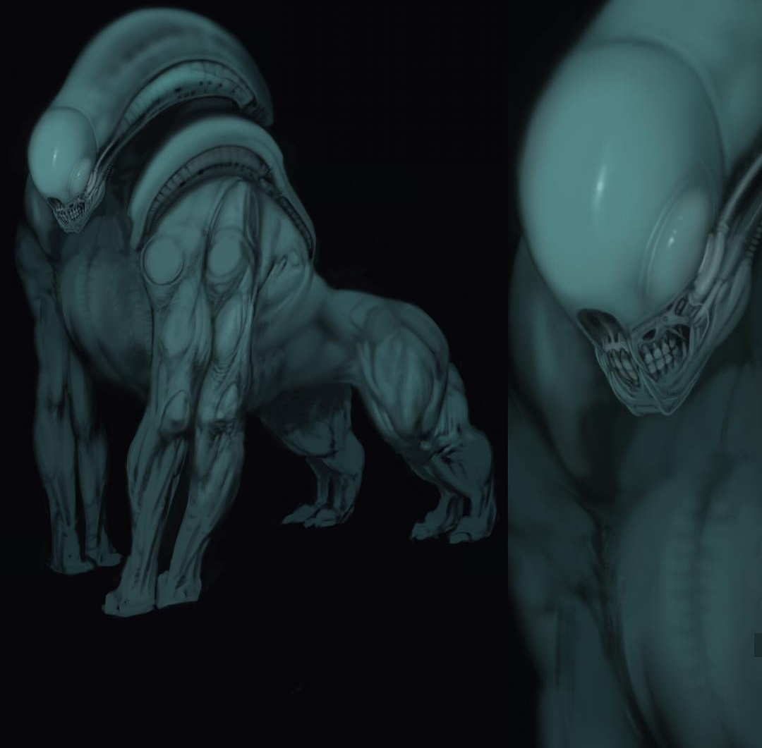 gorilla xenomorph