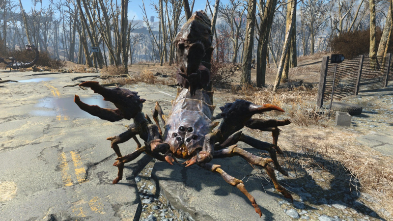 Radscorpion in Fallout