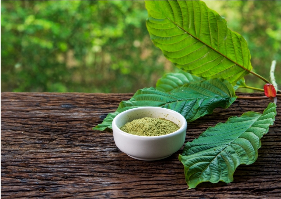 Image for Movie Anxiety? Try these herbs to reduce the anxiety