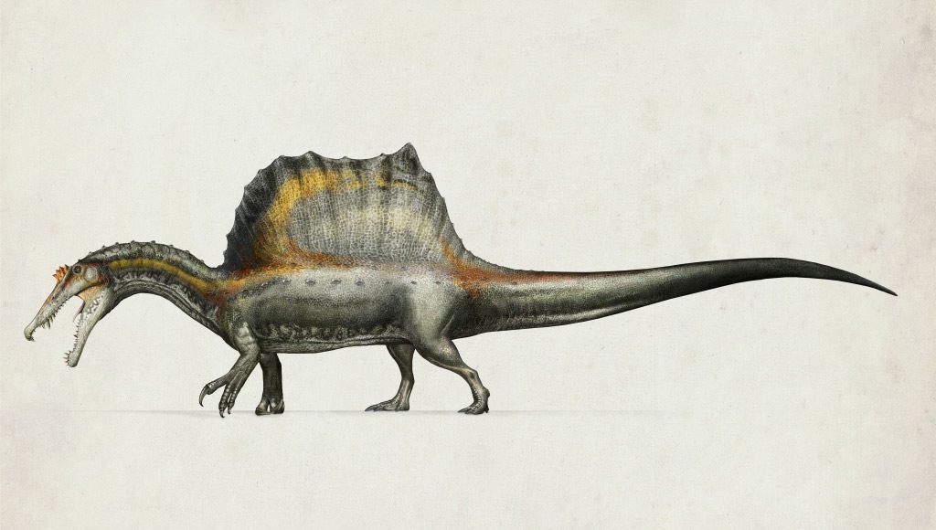 spinosaurus for sale